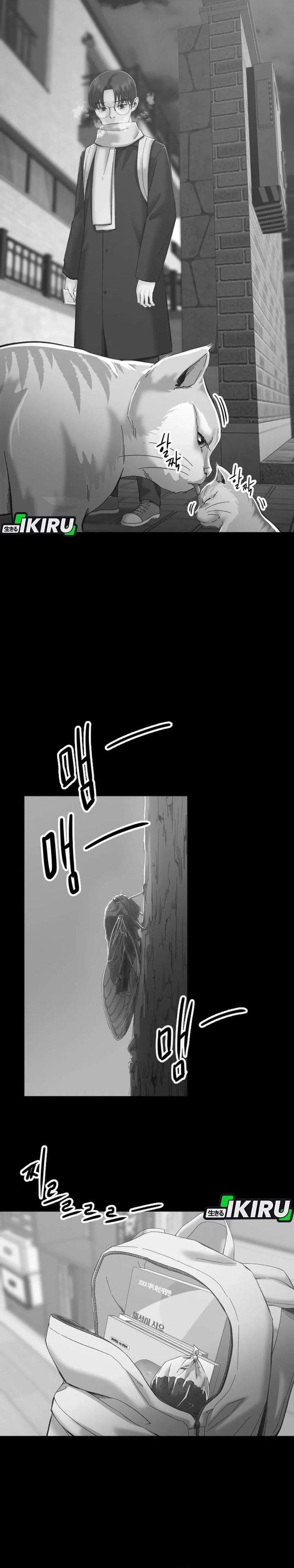 image-komik-mirror-mong-woo-chapter-11-21/28