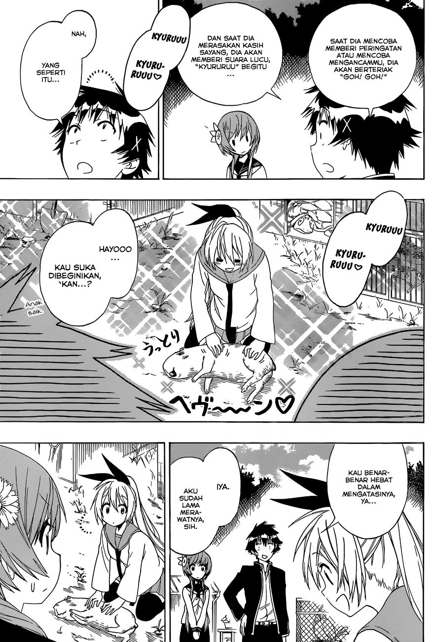 image-komik-nisekoi-chapter-142-5/19