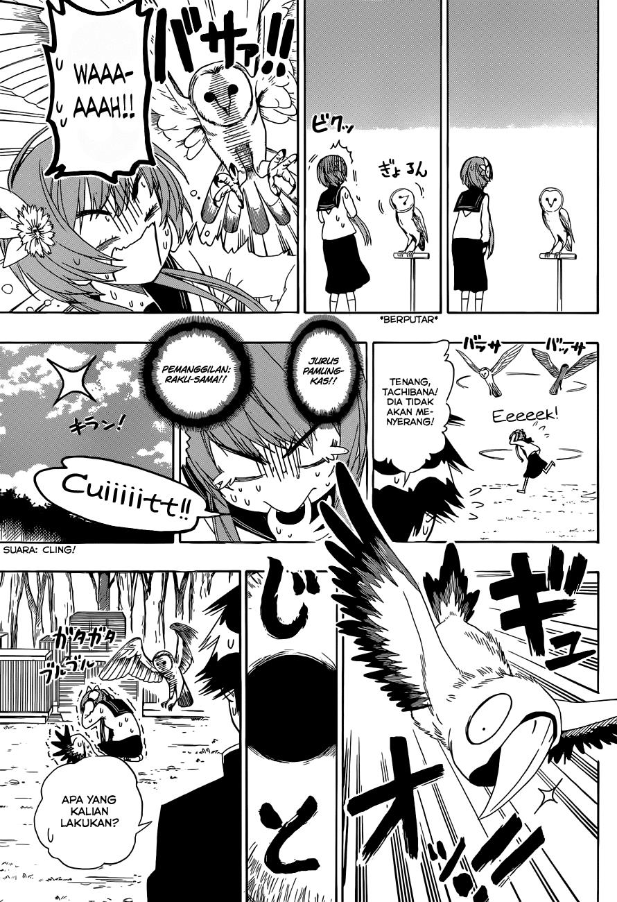 image-komik-nisekoi-chapter-142-7/19