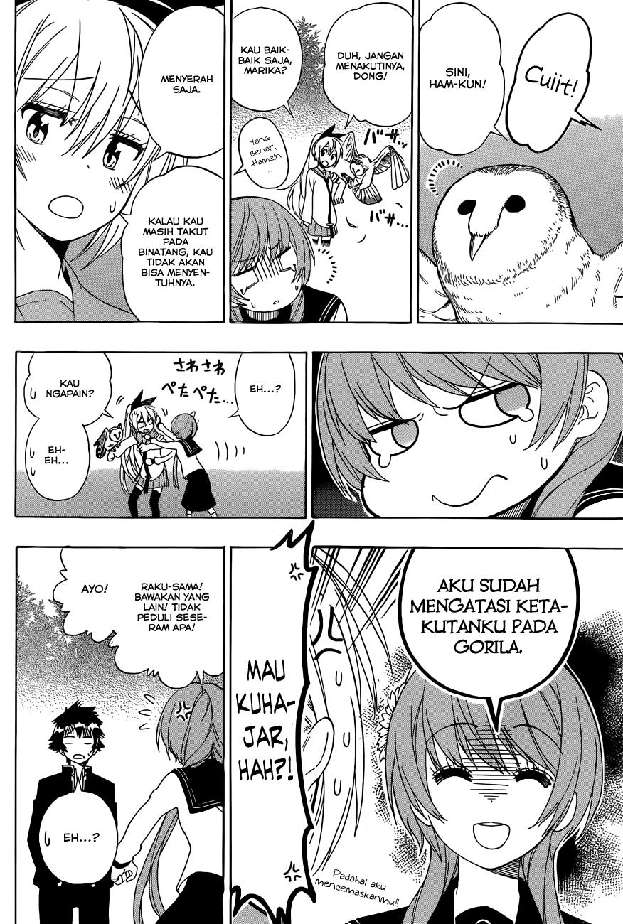 image-komik-nisekoi-chapter-142-8/19