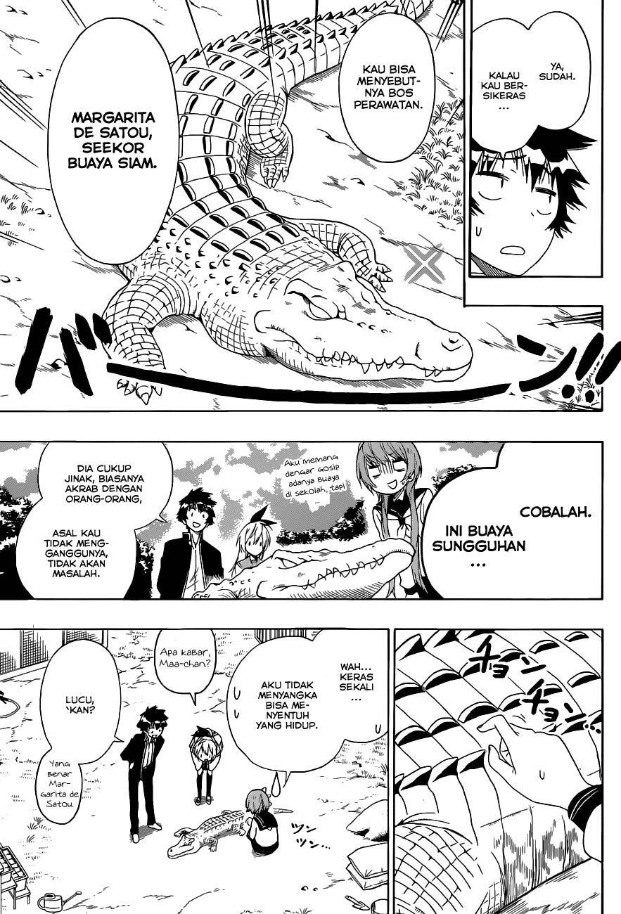 image-komik-nisekoi-chapter-142-9/19