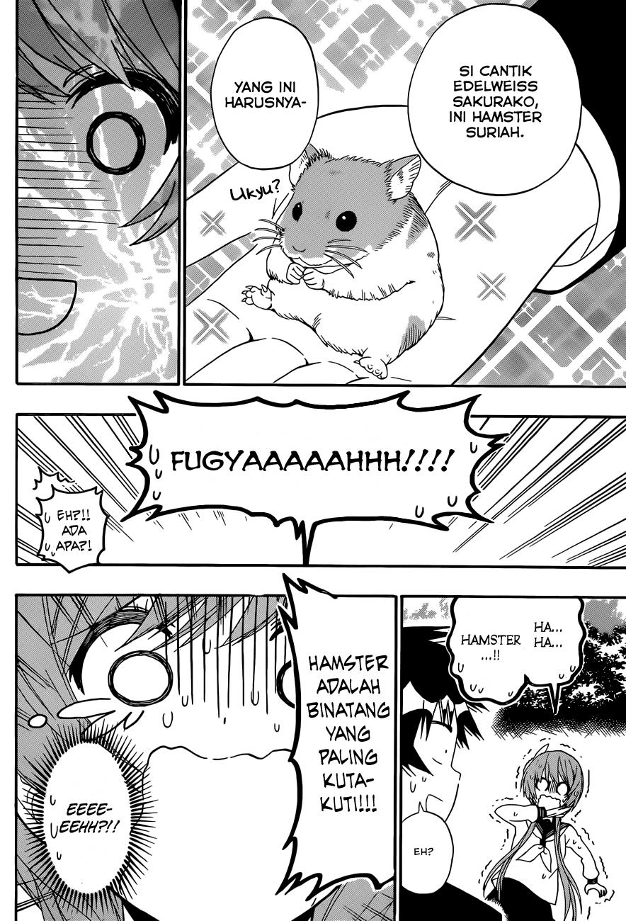 image-komik-nisekoi-chapter-142-12/19