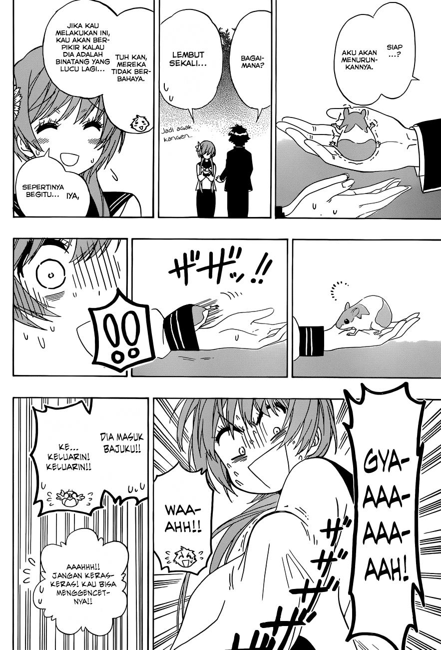 image-komik-nisekoi-chapter-142-14/19