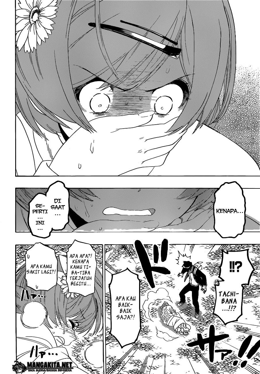 image-komik-nisekoi-chapter-181-5/18