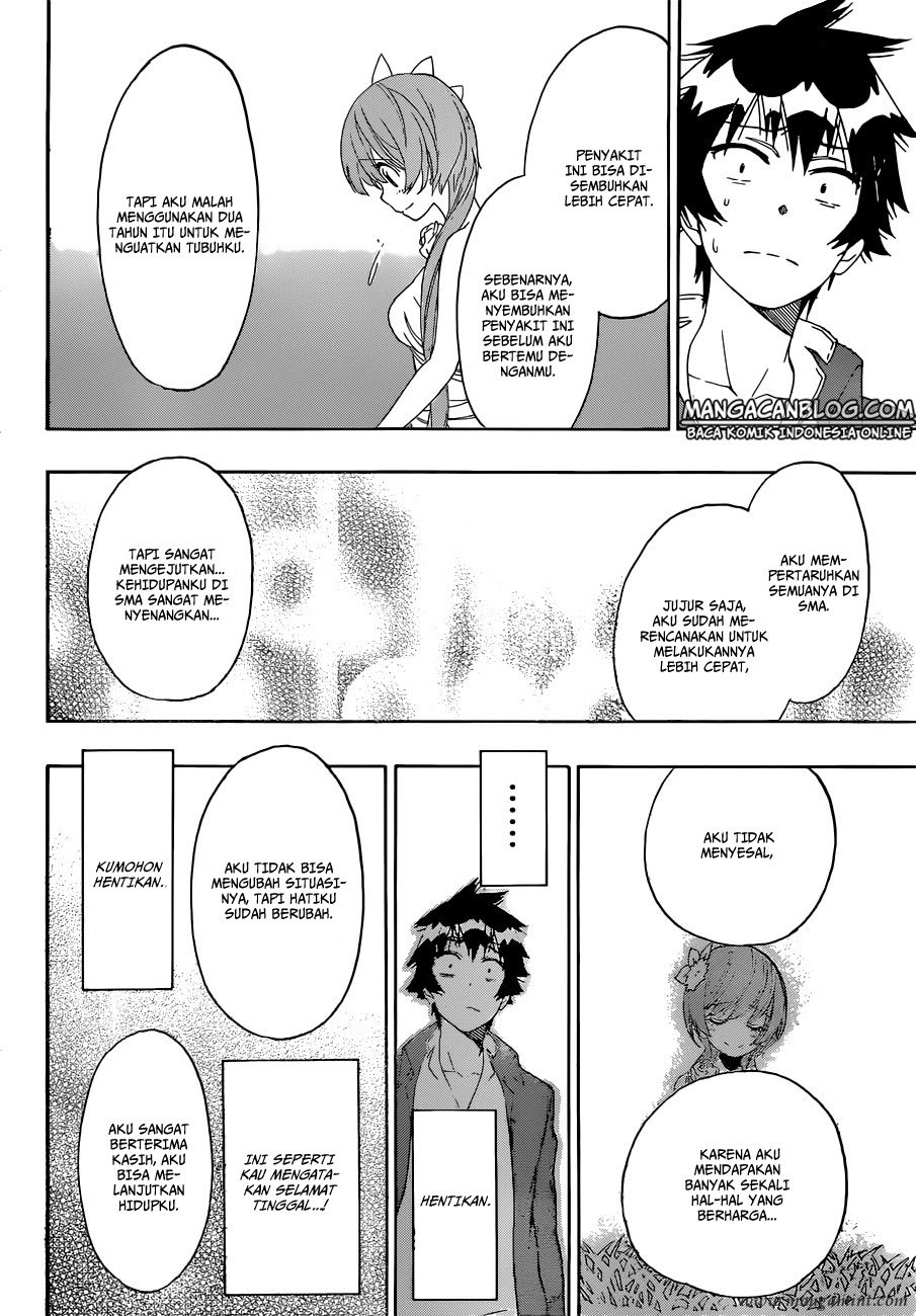 image-komik-nisekoi-chapter-194-13/20