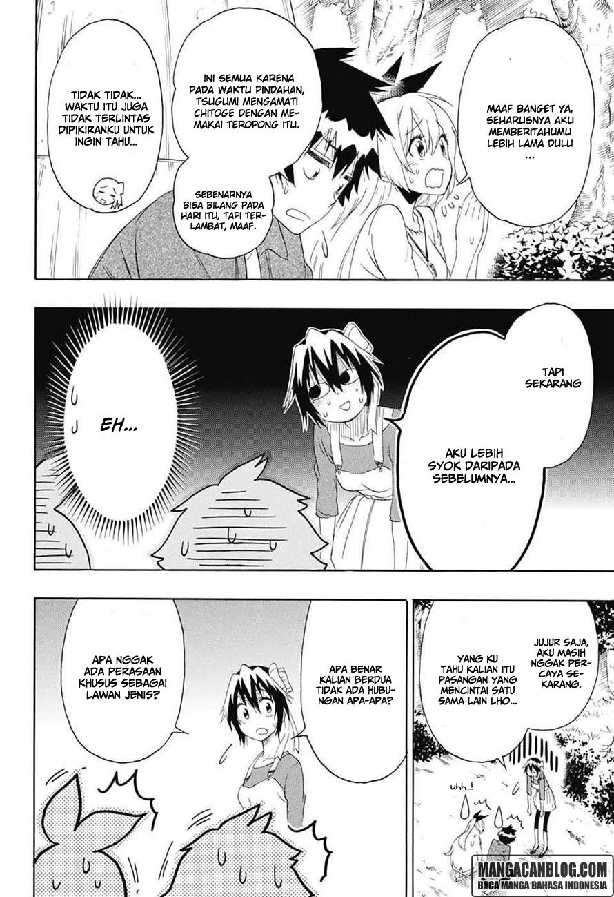 image-komik-nisekoi-chapter-204-15/21