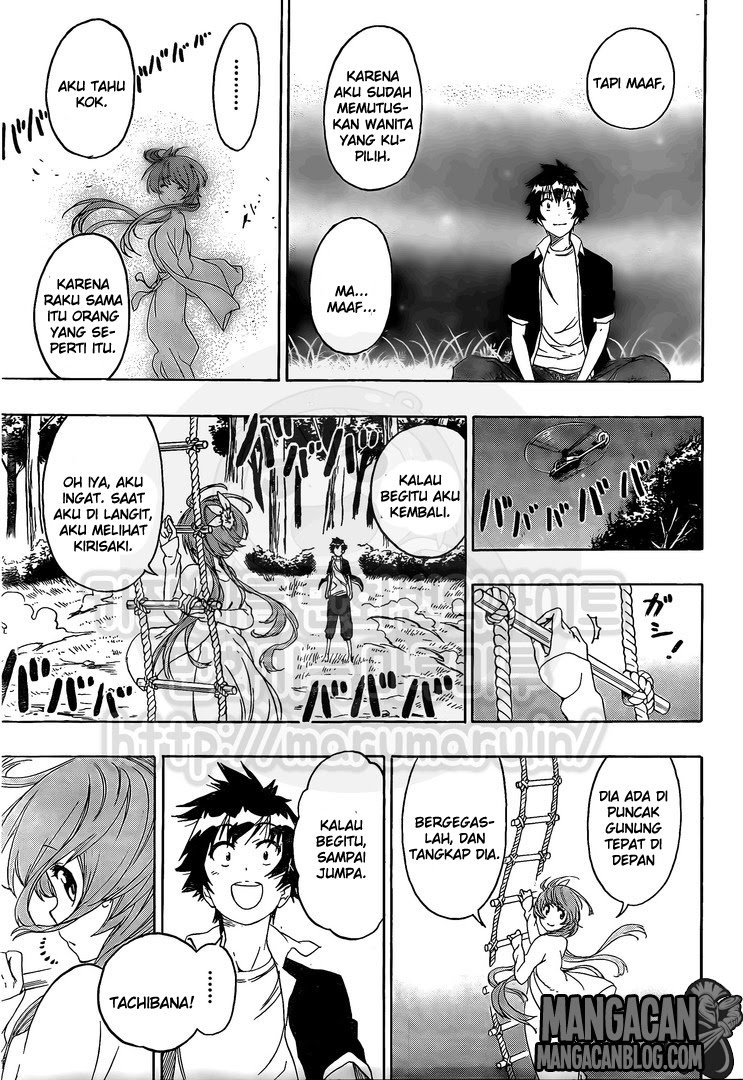 image-komik-nisekoi-chapter-219-17/20