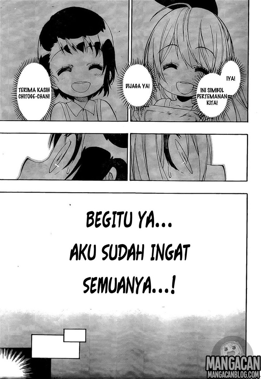 image-komik-nisekoi-chapter-220-15/20