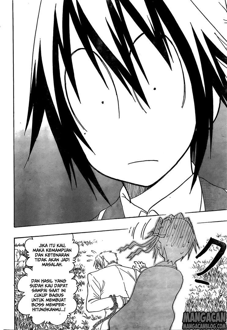 image-komik-nisekoi-chapter-223-4/19