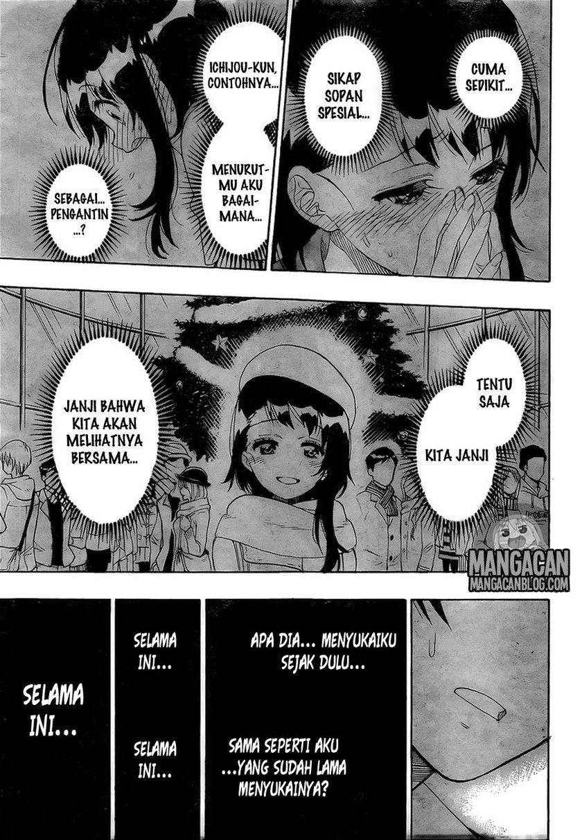 image-komik-nisekoi-chapter-225-14/19