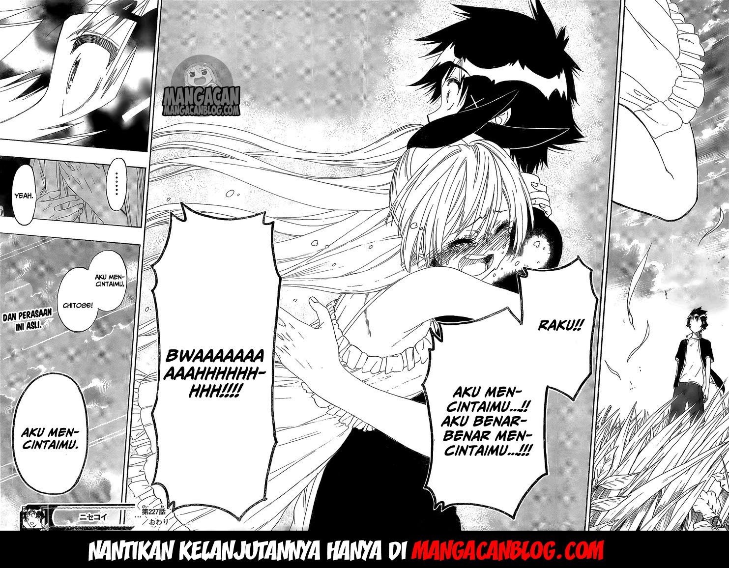 image-komik-nisekoi-chapter-227-16/18