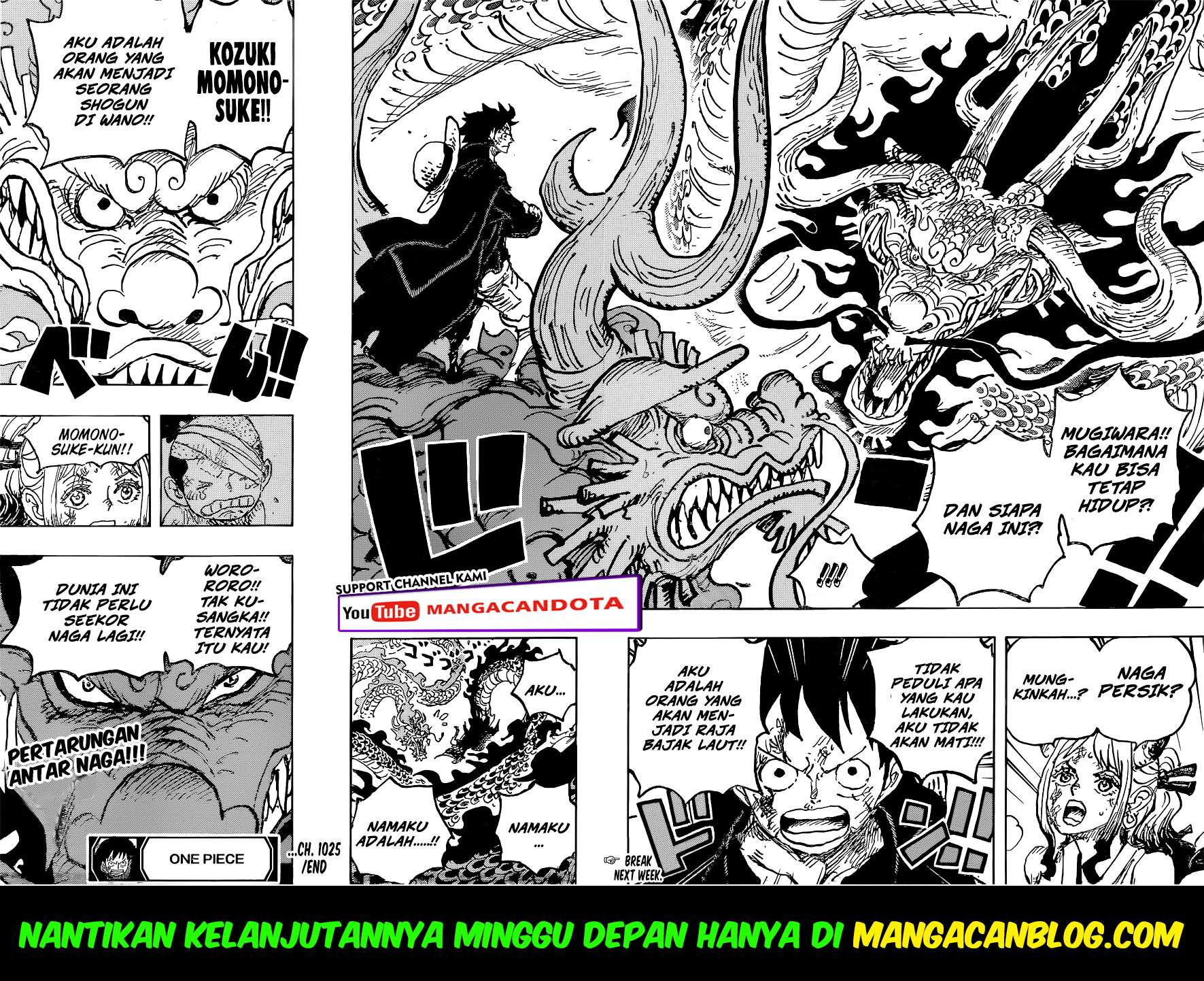 image-komik-one-piece-chapter-1025-14/15