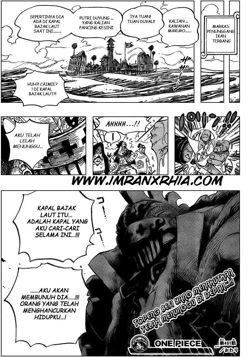 image-komik-one-piece-chapter-491-18/20