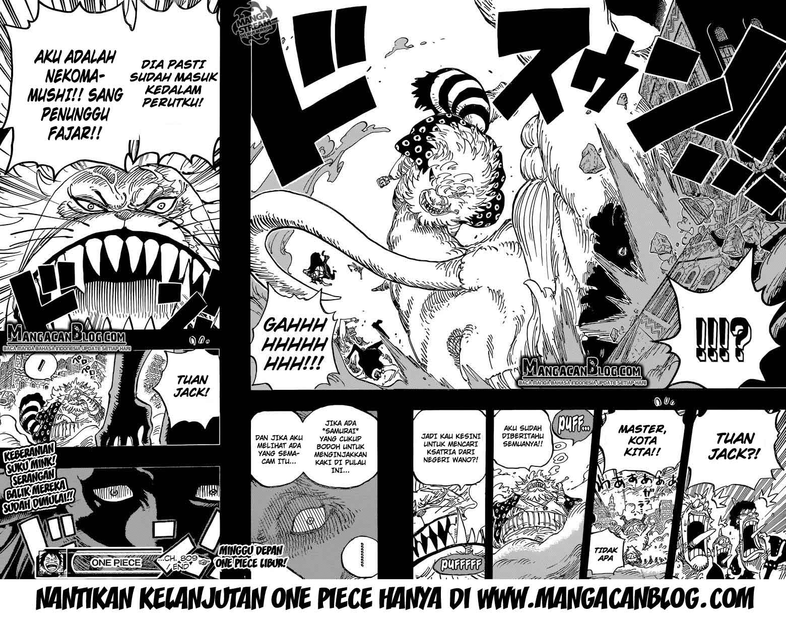 image-komik-one-piece-chapter-809-18/19