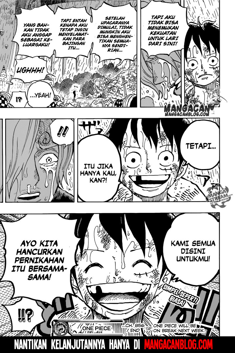 image-komik-one-piece-chapter-856-17/18