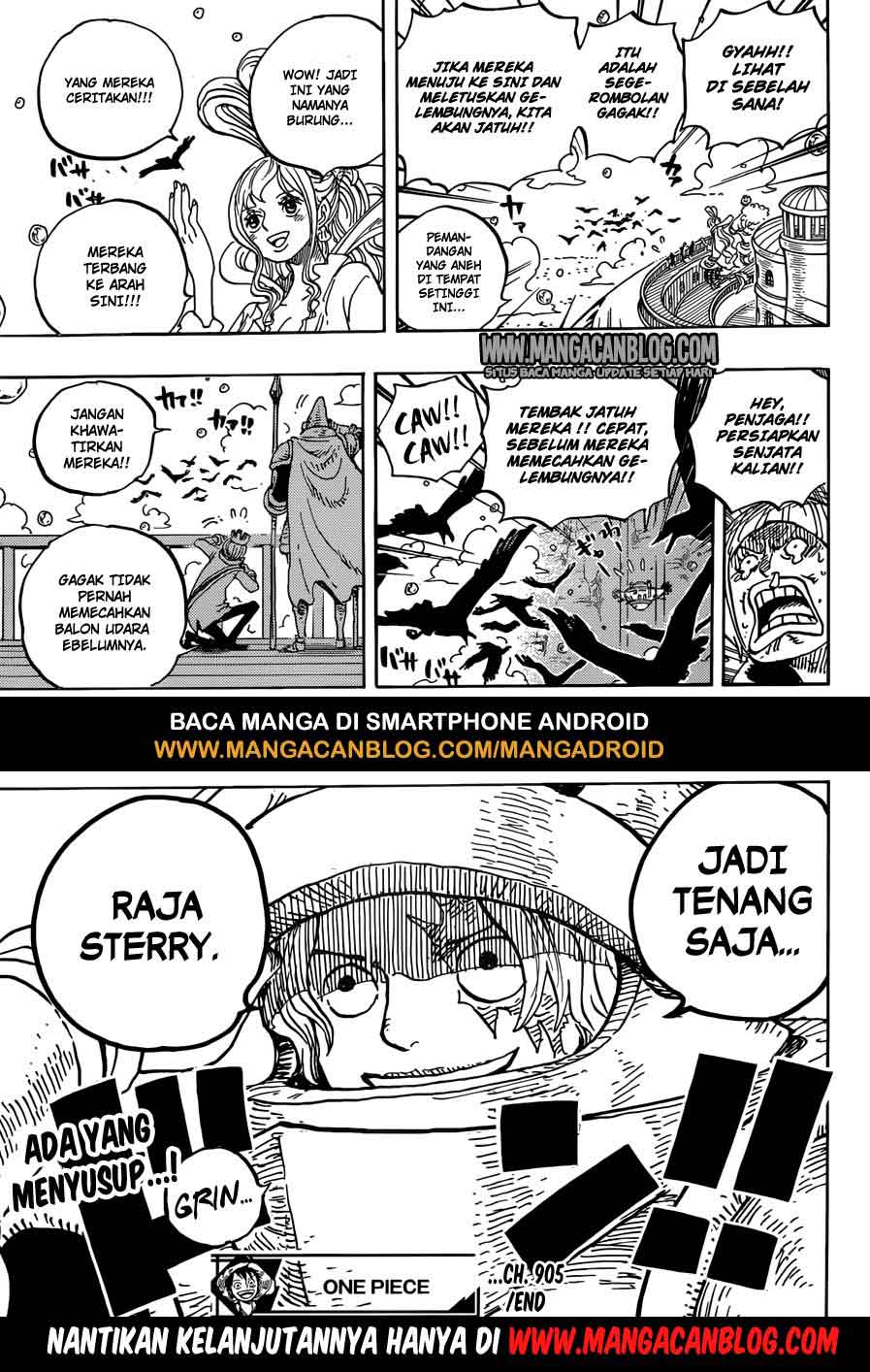 image-komik-one-piece-chapter-905-15/16