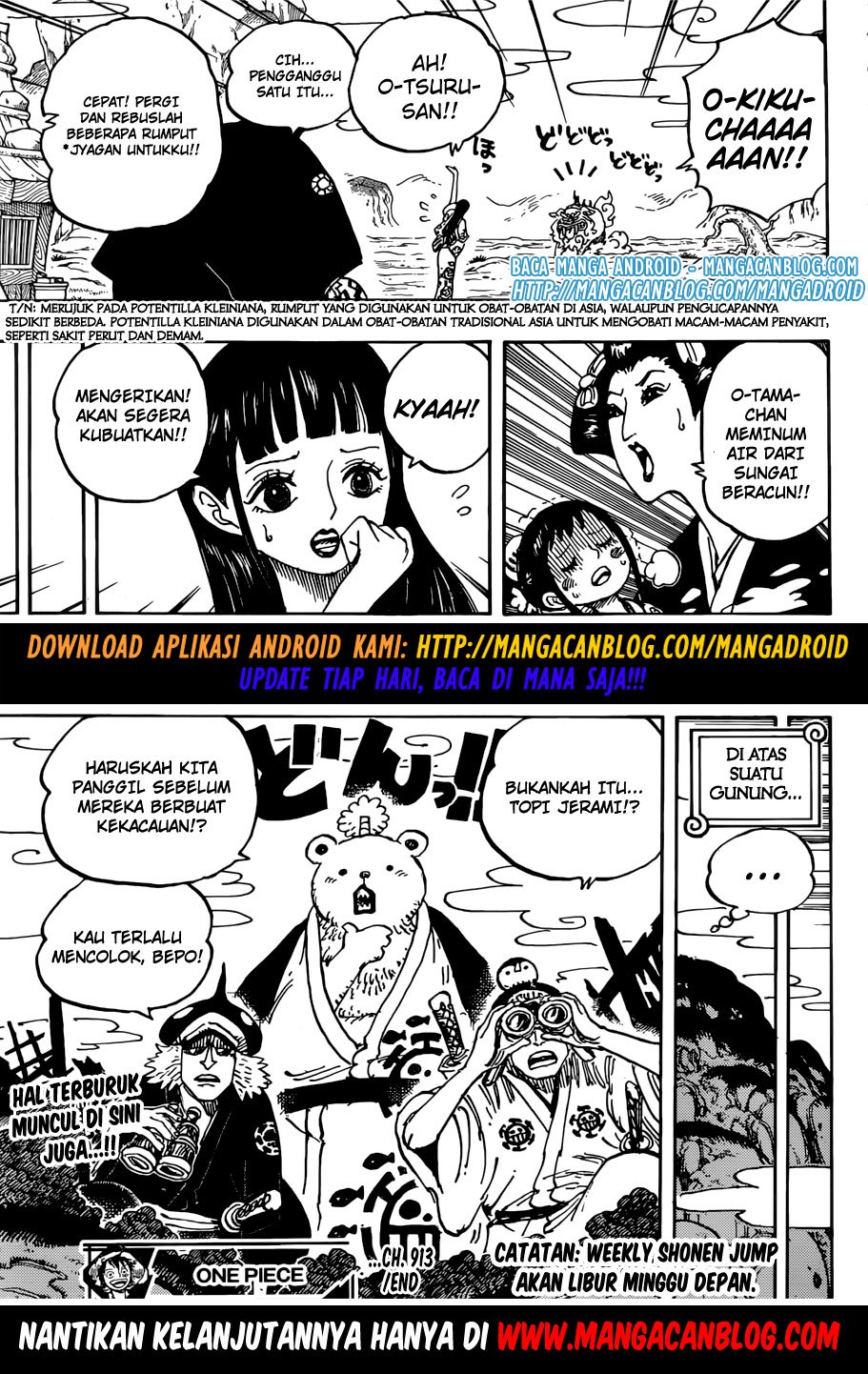 image-komik-one-piece-chapter-913-15/16