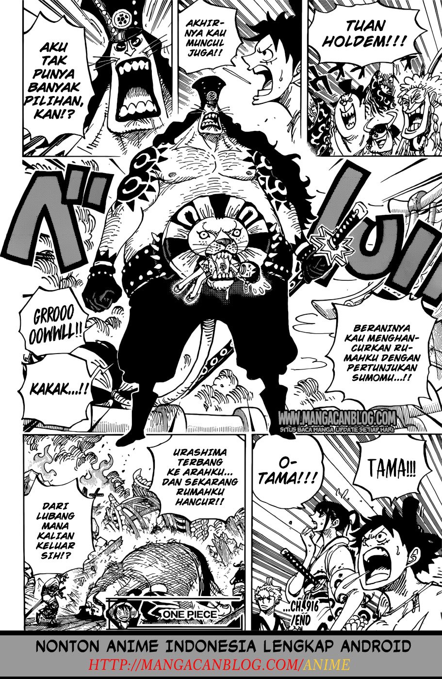 image-komik-one-piece-chapter-916-17/19