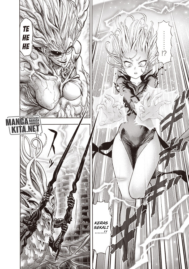 image-komik-one-punch-man-chapter-176-14/25
