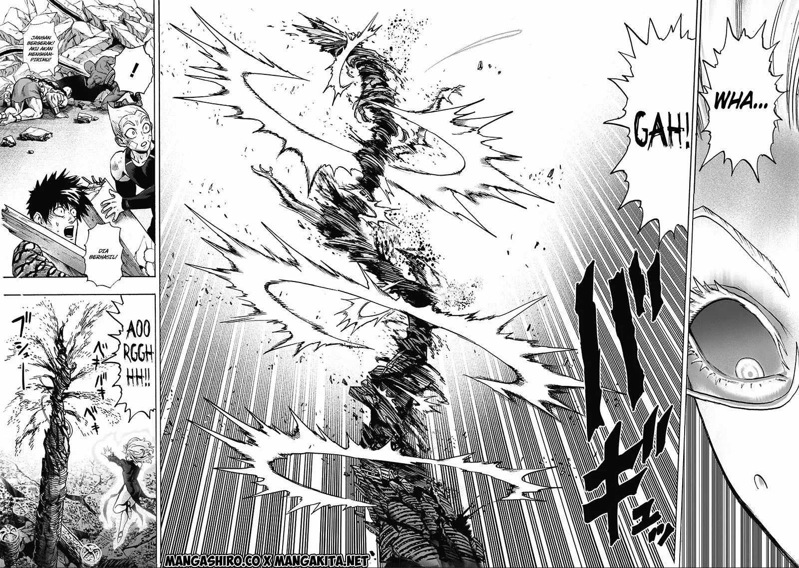 image-komik-one-punch-man-chapter-182-20/44