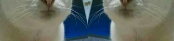 image-komik-rebirth-of-a-dark-mage-unveiling-a-zombie-planet-from-the-start-chapter-22-15/16