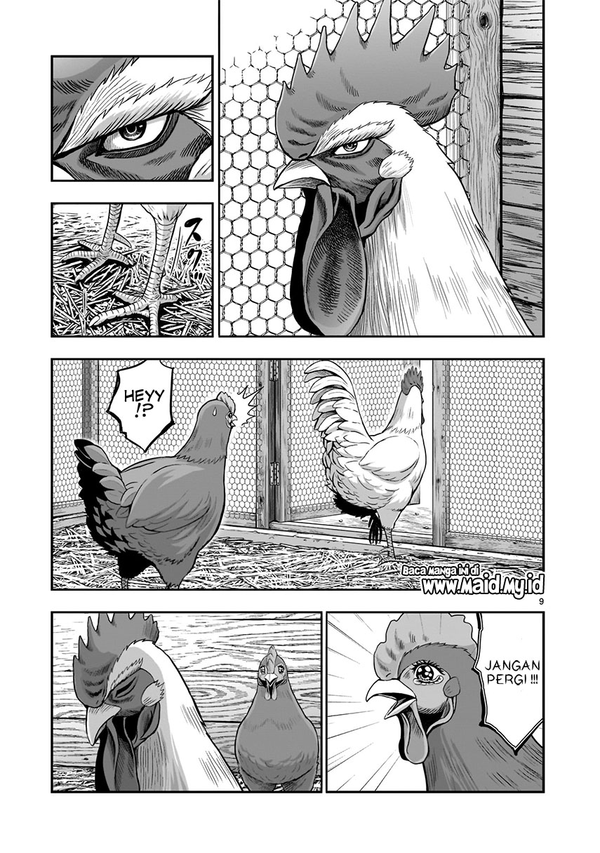 image-komik-rooster-fighter-chapter-1-11/36