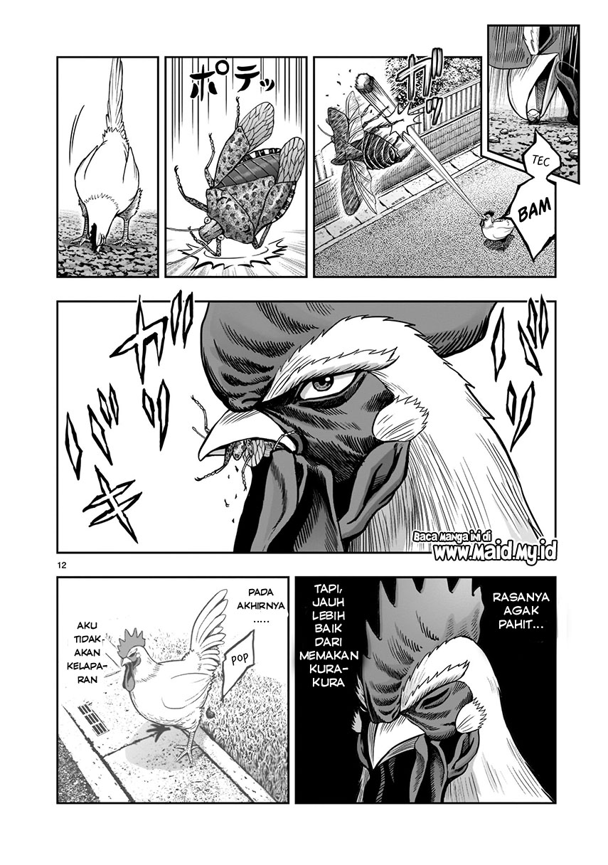 image-komik-rooster-fighter-chapter-1-14/36