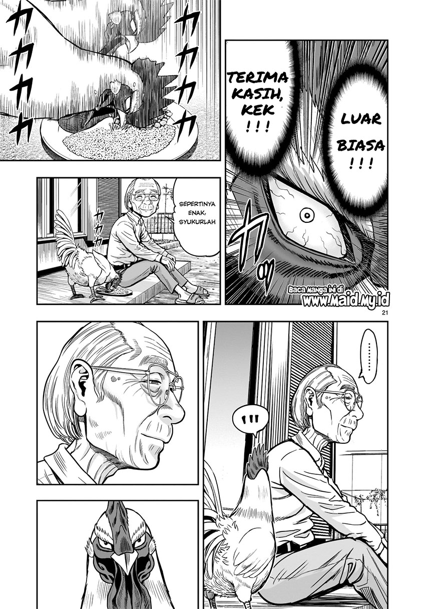 image-komik-rooster-fighter-chapter-1-23/36
