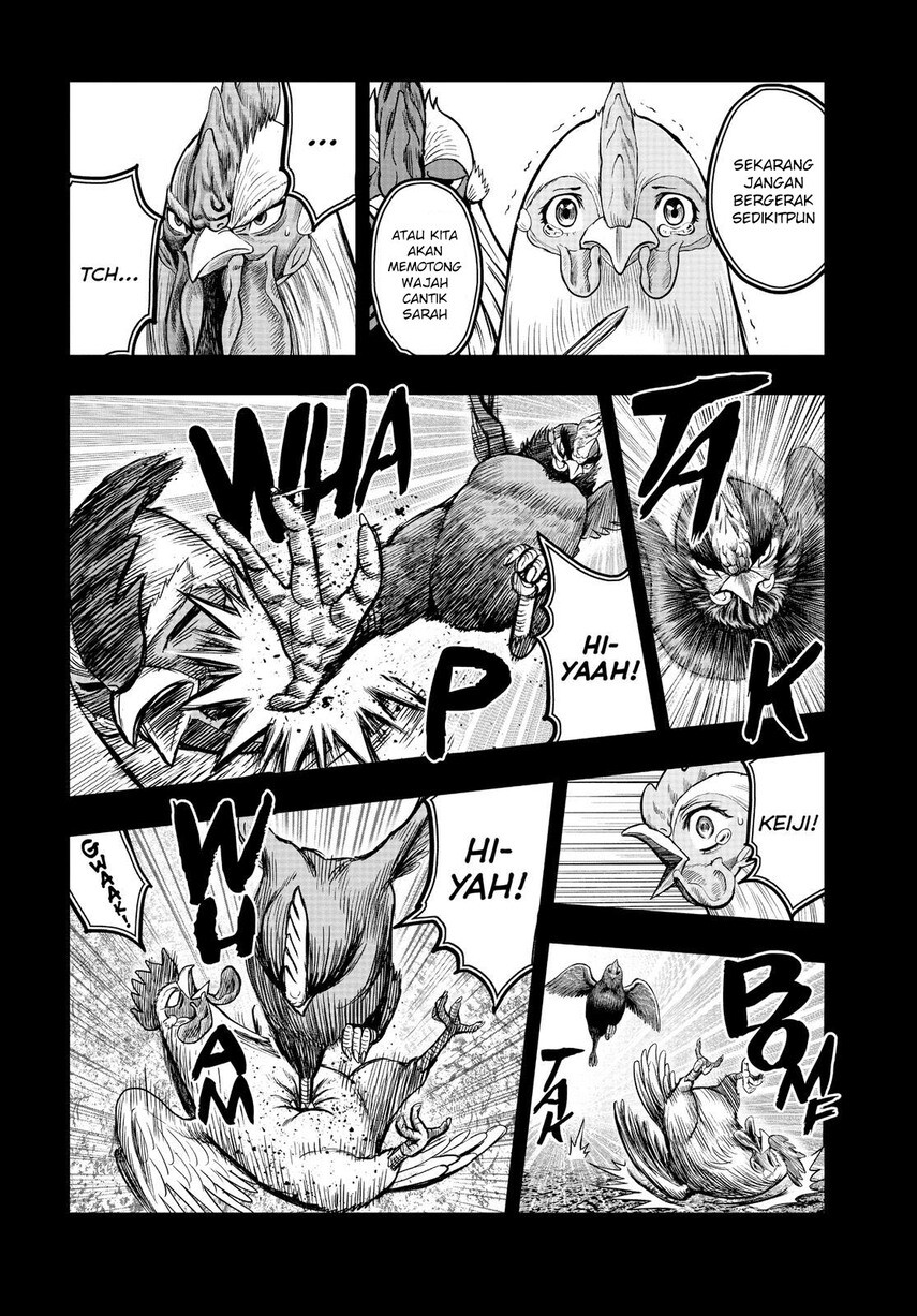 image-komik-rooster-fighter-chapter-11-21/52