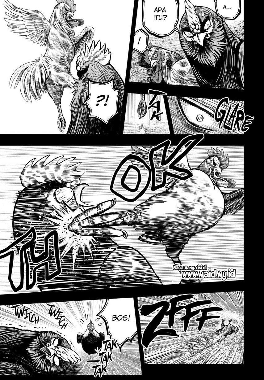 image-komik-rooster-fighter-chapter-11-24/52