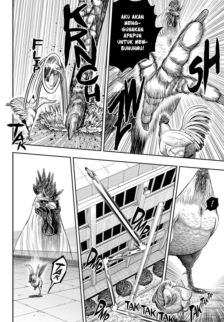 image-komik-rooster-fighter-chapter-11-32/52
