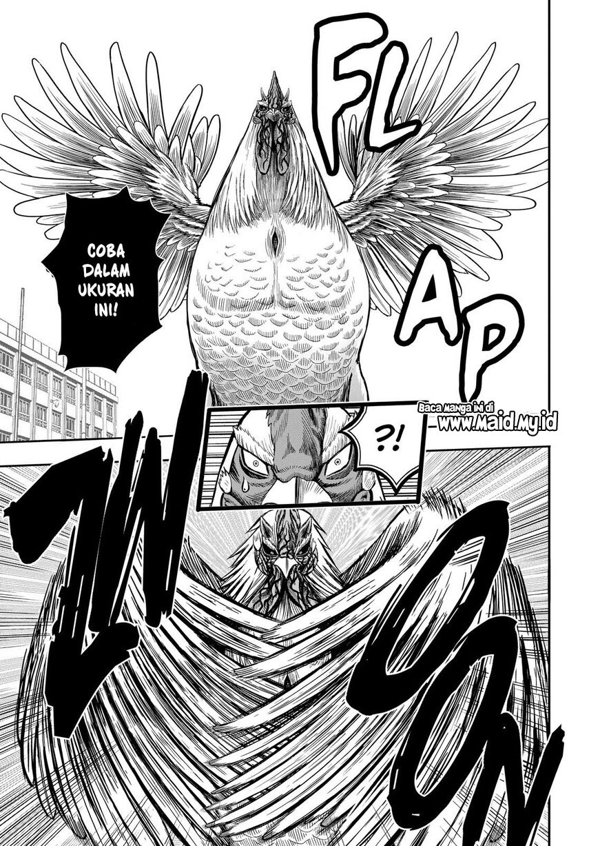 image-komik-rooster-fighter-chapter-11-37/52