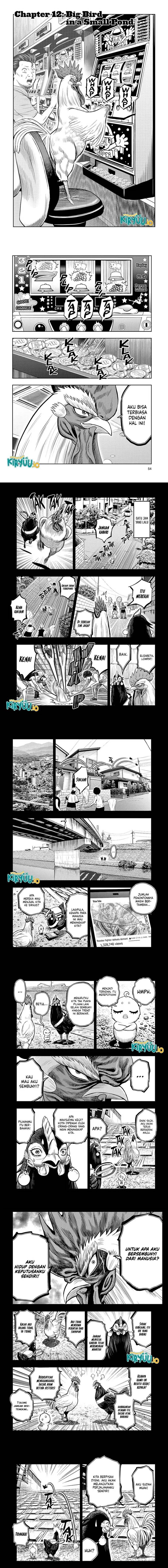image-komik-rooster-fighter-chapter-12-0/5