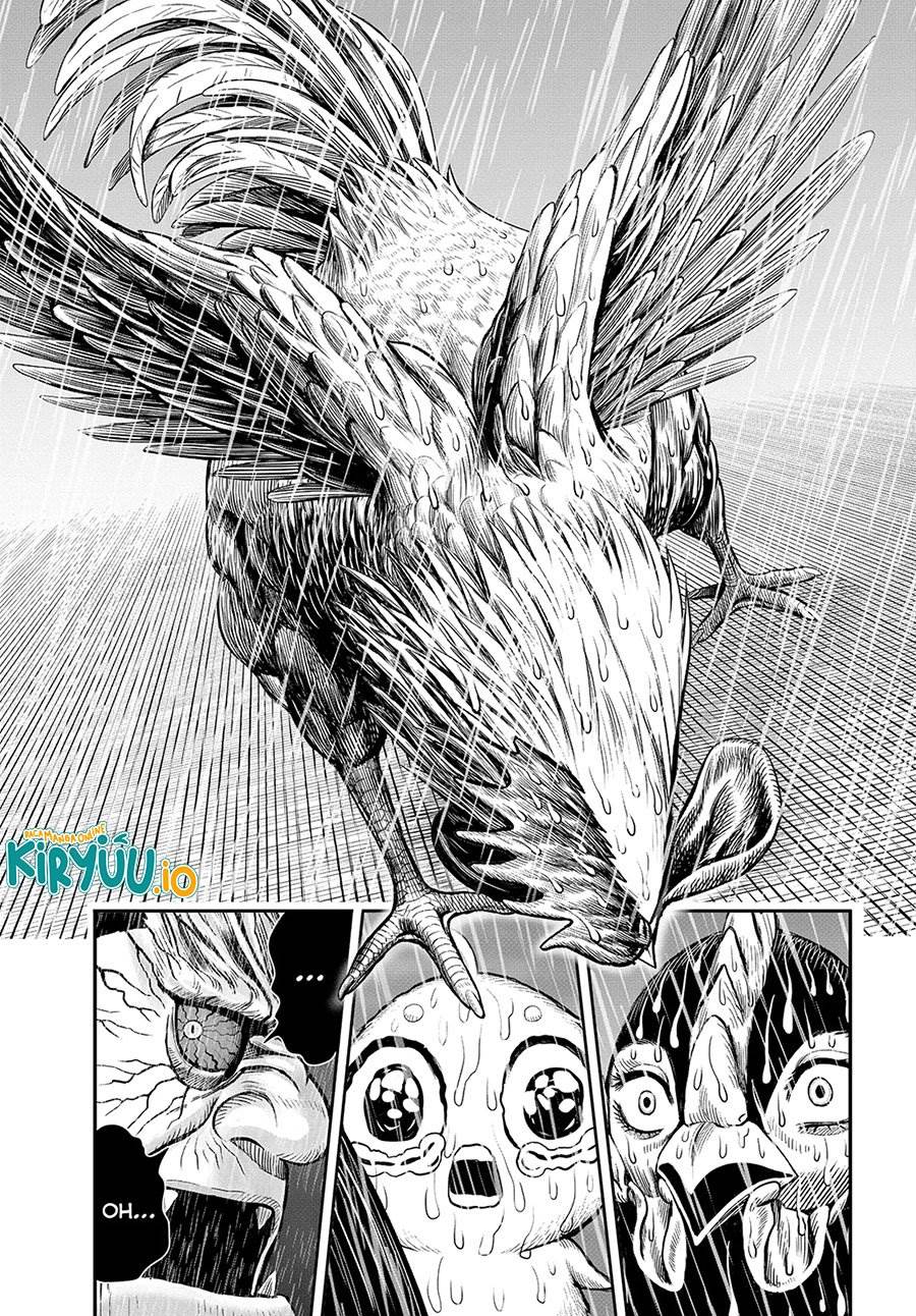 image-komik-rooster-fighter-chapter-14-31/33