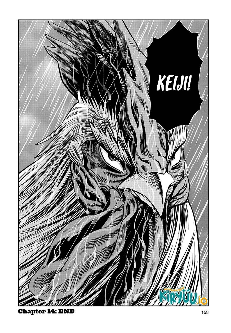 image-komik-rooster-fighter-chapter-14-32/33