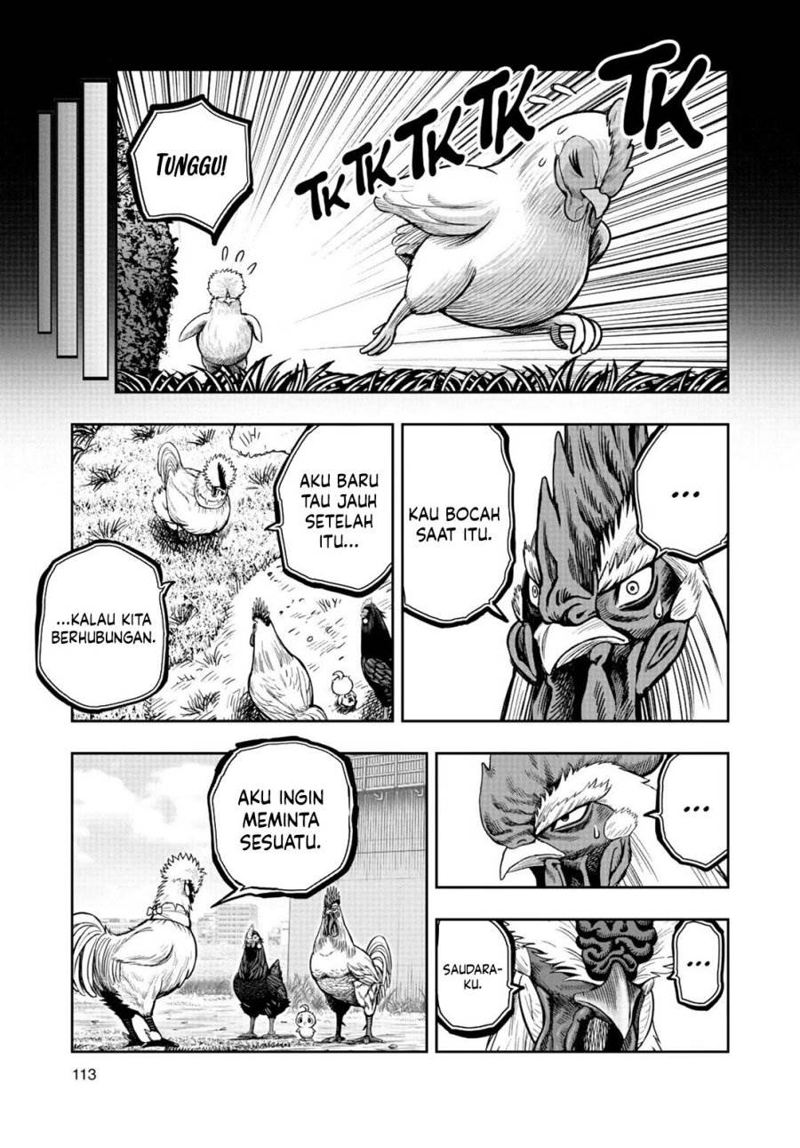 image-komik-rooster-fighter-chapter-19-15/41