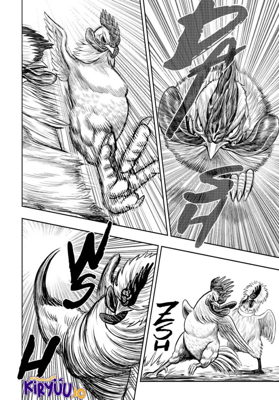 image-komik-rooster-fighter-chapter-19-28/41