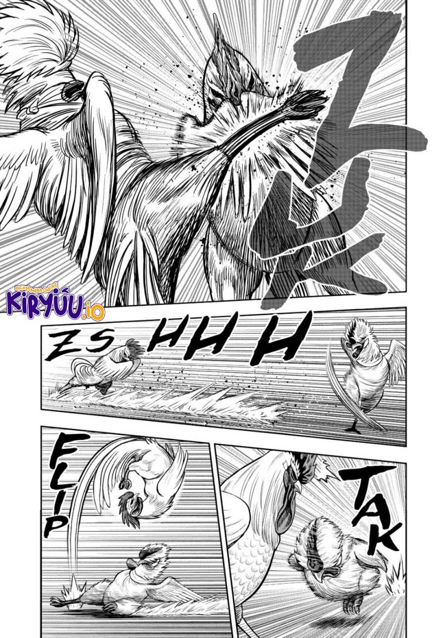 image-komik-rooster-fighter-chapter-19-29/41