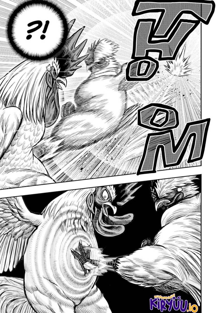 image-komik-rooster-fighter-chapter-19-37/41
