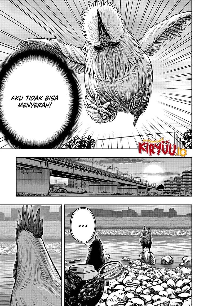 image-komik-rooster-fighter-chapter-20-5/49