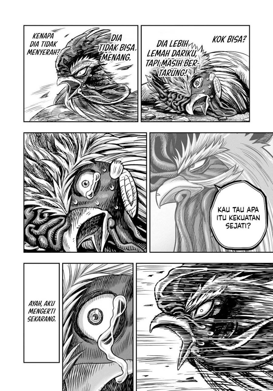 image-komik-rooster-fighter-chapter-27-42/53