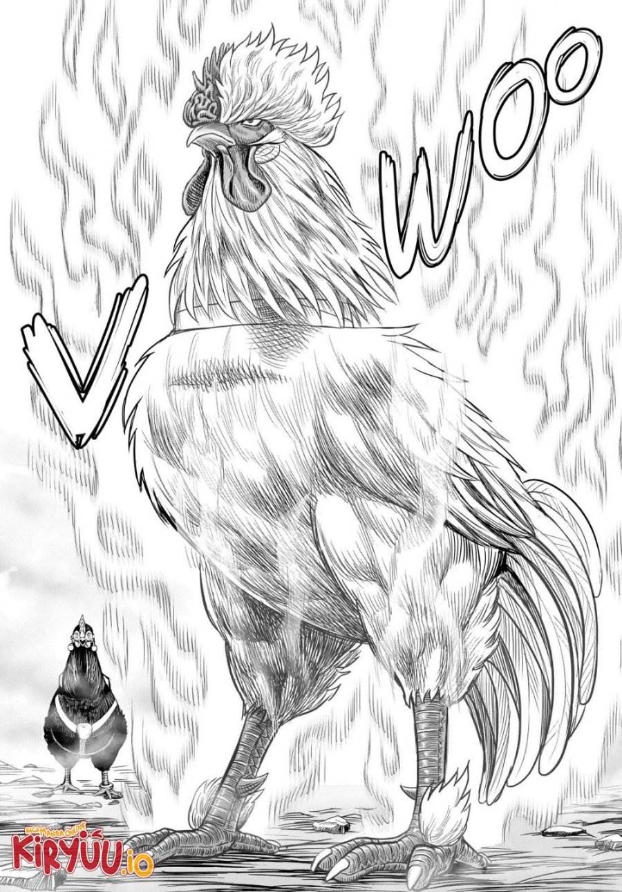 image-komik-rooster-fighter-chapter-27-50/53