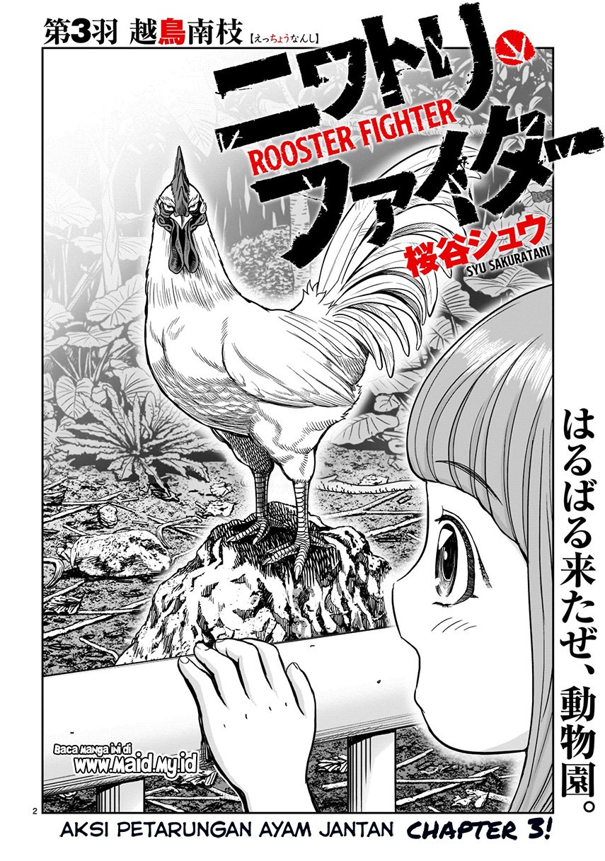 image-komik-rooster-fighter-chapter-3-2/37
