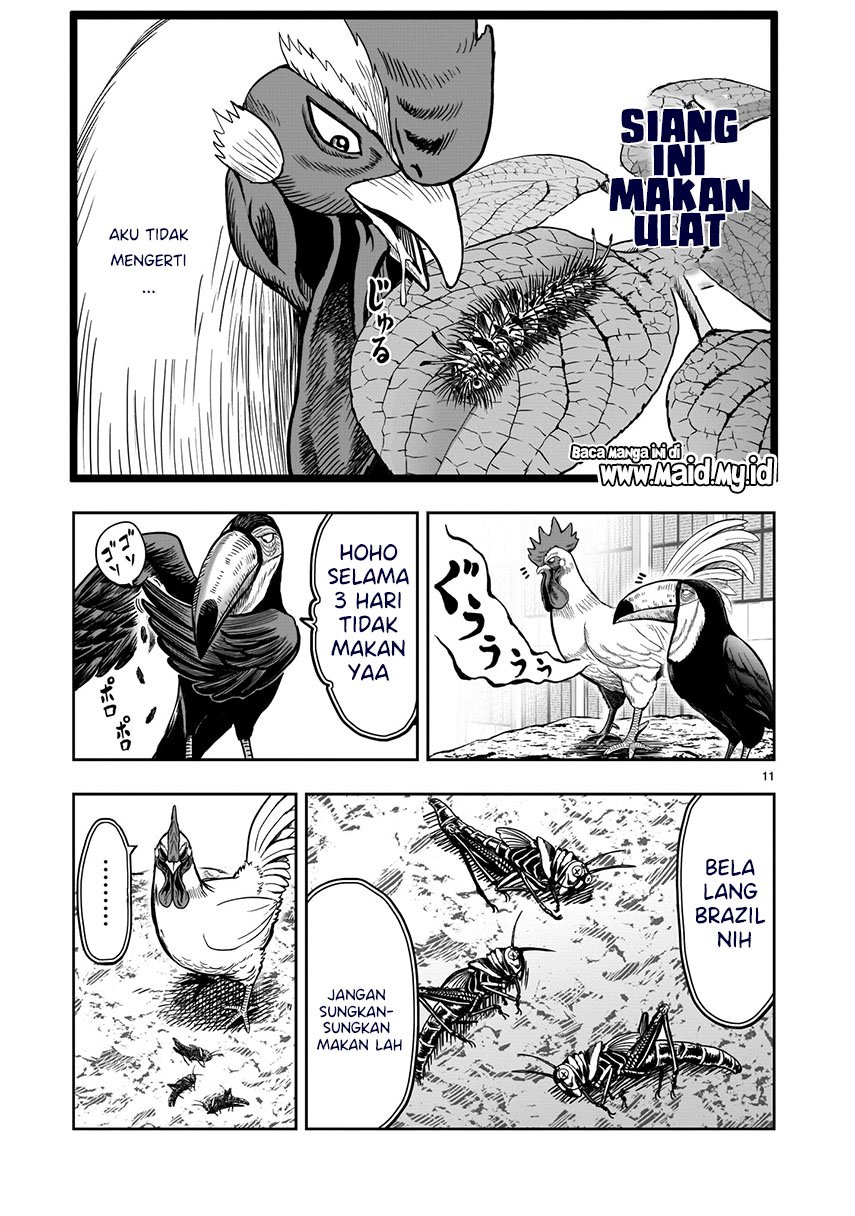 image-komik-rooster-fighter-chapter-3-11/37