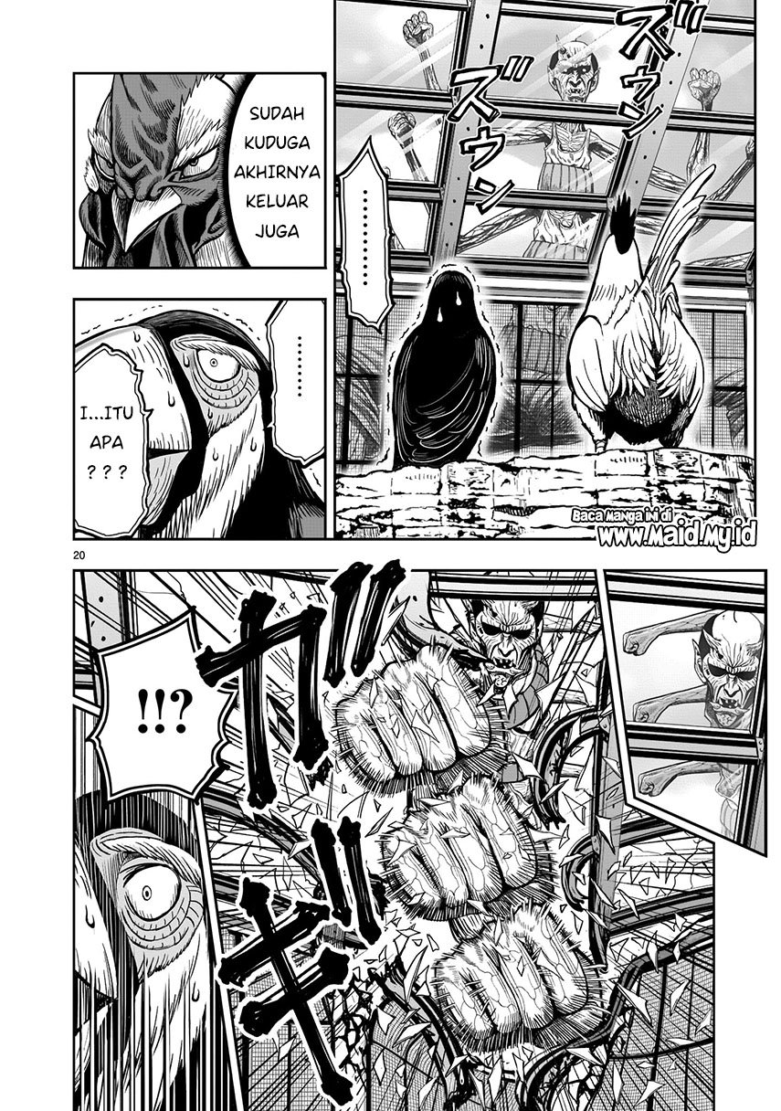 image-komik-rooster-fighter-chapter-3-20/37