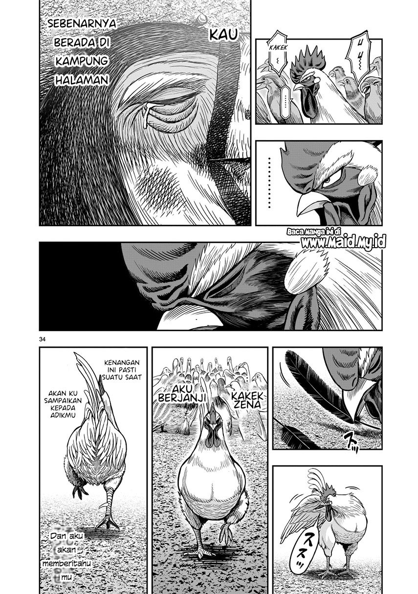 image-komik-rooster-fighter-chapter-3-33/37