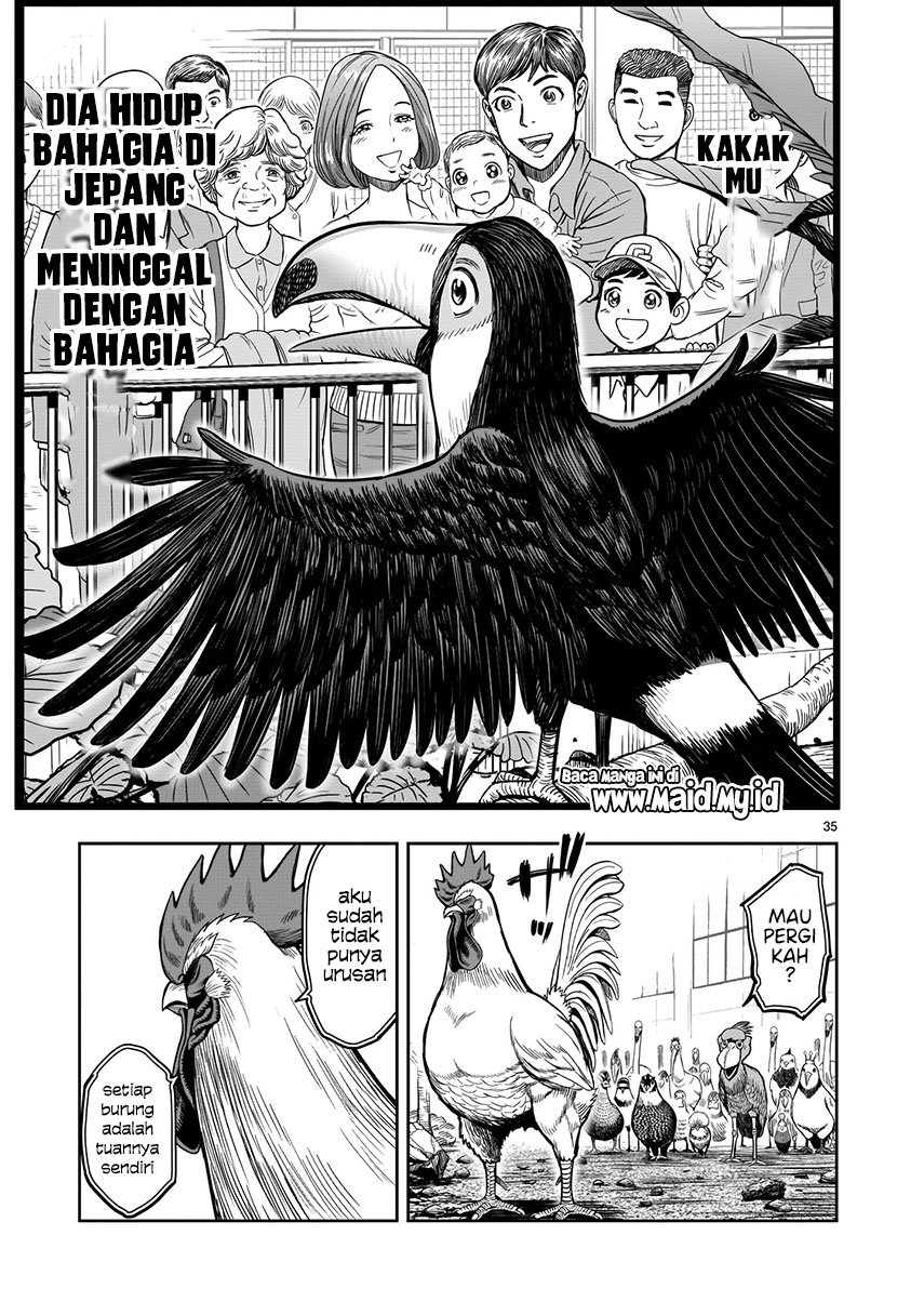 image-komik-rooster-fighter-chapter-3-34/37