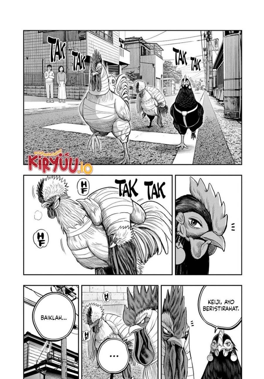 image-komik-rooster-fighter-chapter-31-2/33