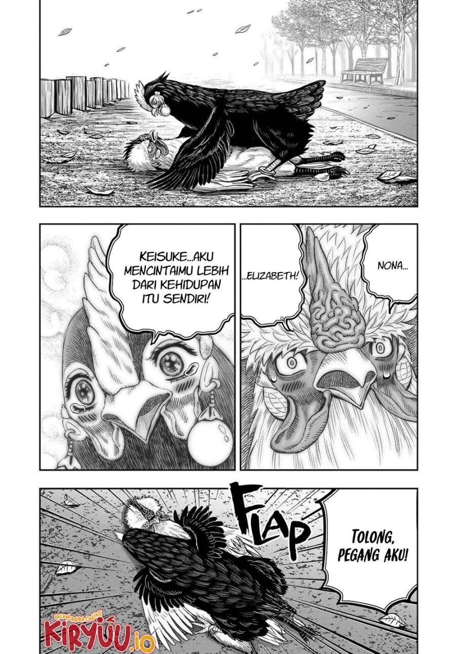 image-komik-rooster-fighter-chapter-32-4/23