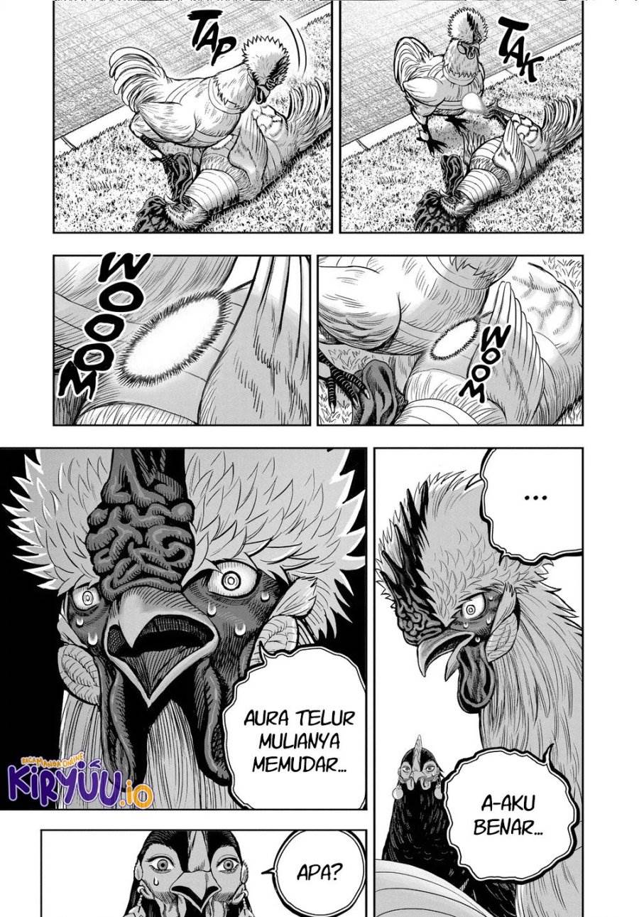 image-komik-rooster-fighter-chapter-34-15/41